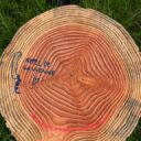 <p>L'appel à la vienne</p>