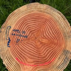 <p>L'appel à la vienne</p>