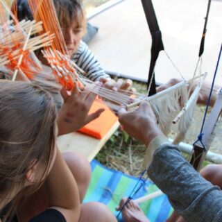 Araignées sociales zone