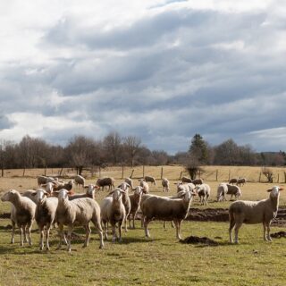 Ateliers scolaires en lycée
