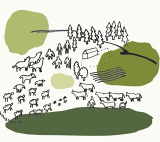 Du 17 au 21 mai 2022