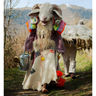 Exposition et performance