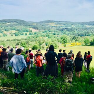 Projet éditorial autour du retour du loup