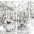 Au loup ! Chronique d'un retour