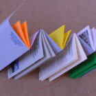 Édition Araignées sociales Zone