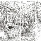 Au loup ! Chronique d'un retour