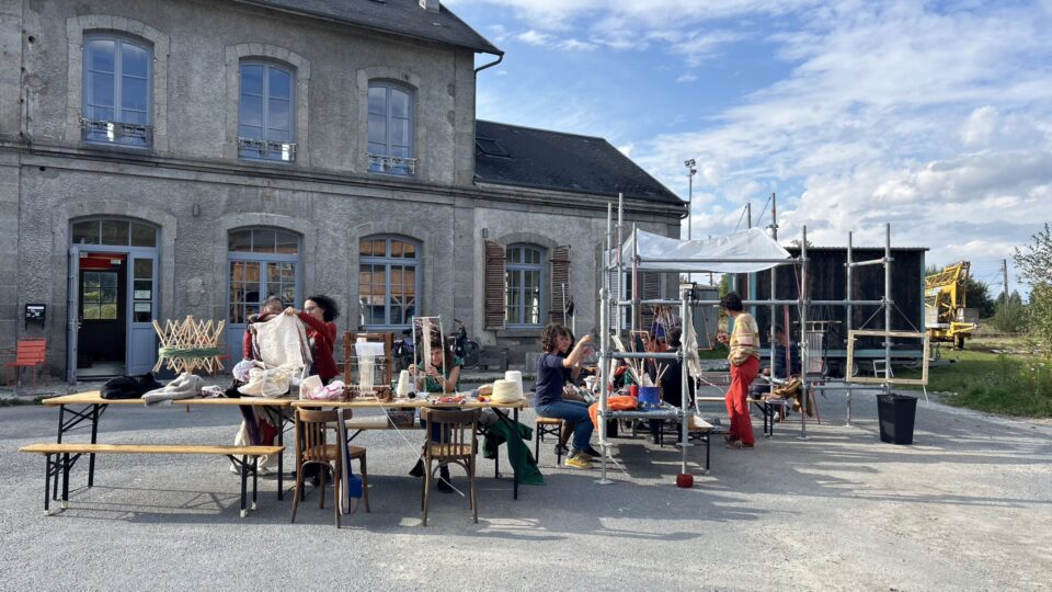 Araignées sociales zone