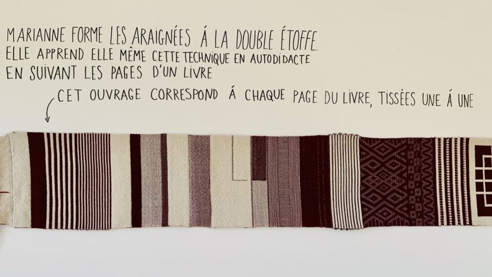 Exposition Araignées sociales Zone