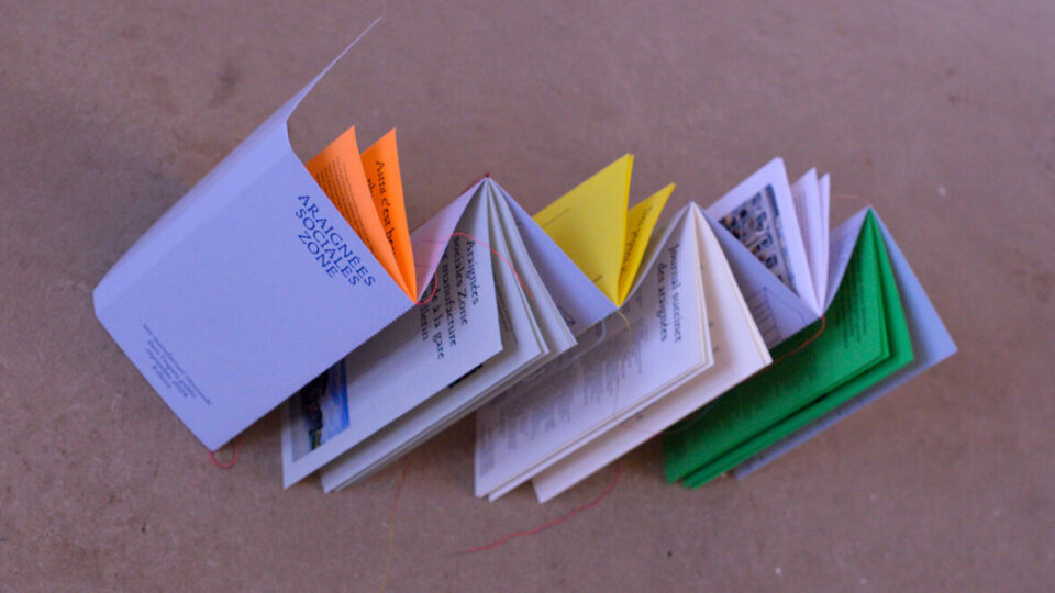 Édition Araignées sociales Zone