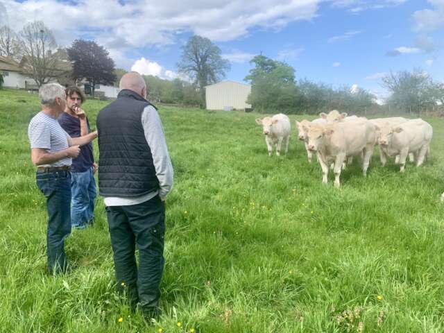 Quartier rouge - Au loup ! Chronique d'un retour - Juin 2024.  Rencontre de l’auteur avec des éleveur·ses, chasseur·ses, habitant·es, et le groupe de commanditaires. 