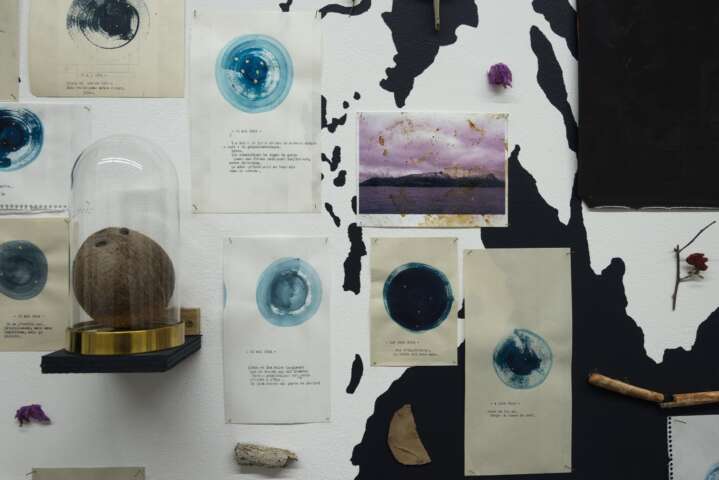 Quartier rouge - Maru Aro - Exposition de Aurélien Mauplot &amp; Laurie-Anne Estaque | Les arts au mur artothèque, Pessac, 2019