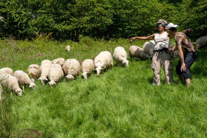 Quartier rouge - Faire assemblée pastorale - 17 mai 2022 | Trek danse pastorale 