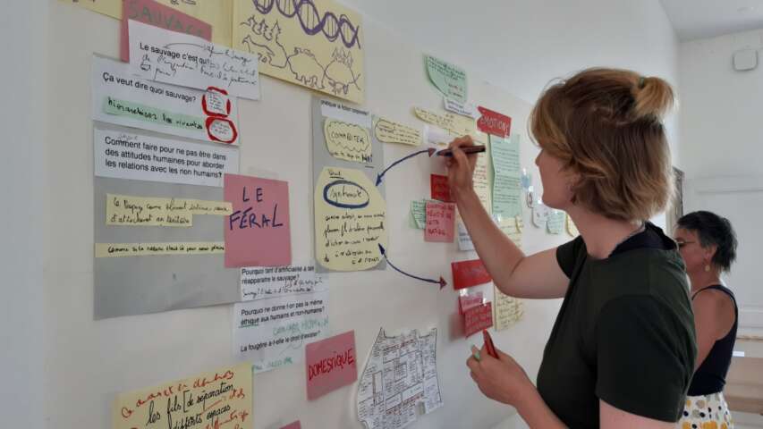 Quartier rouge - Faire assemblée pastorale - 21 mai 2022 | Sélection, composition et affichage des traces de la semaine, à la gare de Felletin.