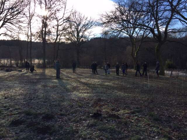 Quartier rouge - Nous soutenir - Le stage "Comprendre les loups dans leurs relations aux troupeaux" est organisé en 2019 à la demande d'éleveur·ses dans le cadre du projet Penser avec les loups afin de comprendre et anticiper leur retour sur la Montagne limousine. 