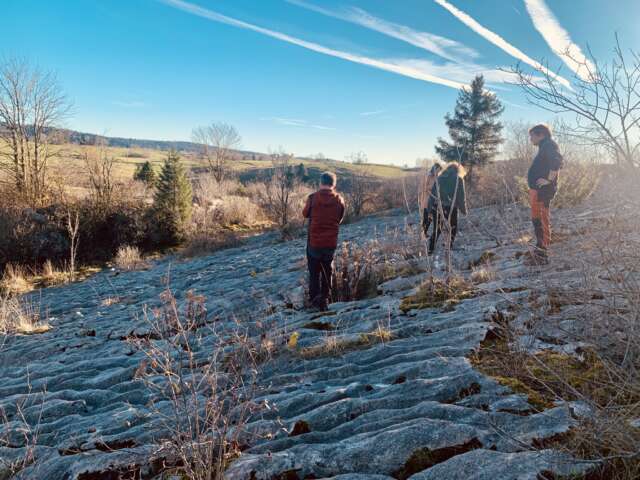 Quartier rouge - Lynx - Balade avec le groupe de commanditaires | Lapiaz des Chauvins.