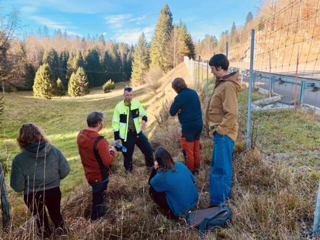 Quartier rouge - Lynx - Balade avec le groupe de commanditaires | Repérage des lieux envisagés pour des passages à faune (bord de route).
