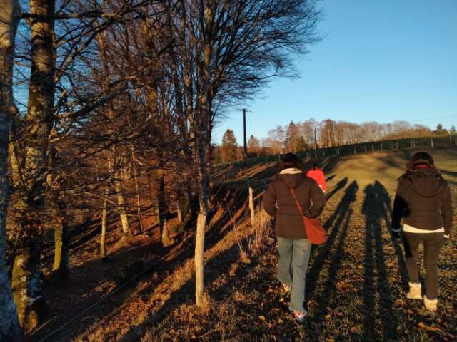 Quartier rouge - Penser le retour des loups sur la montagne limousine - Février 2022 – Enquête de terrain des étudiant·es en Master Espace et milieux de l’Université Paris Diderot